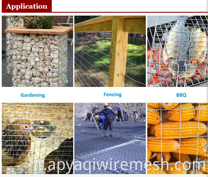 Filo in galvanizzato da 1,2 mm in rete di filo saldato 30m per mesh agricoltura